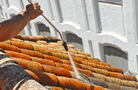 Nettoyage de toitures - Franqueville-Saint-Pierre